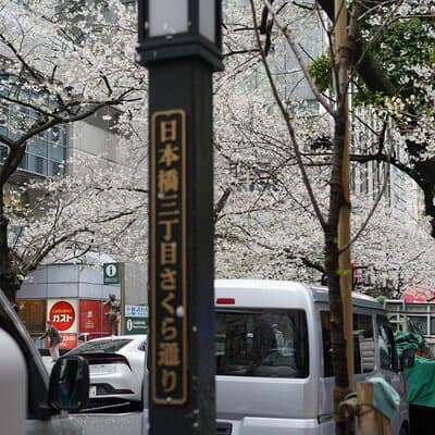 Tokyo Private Walking Tour