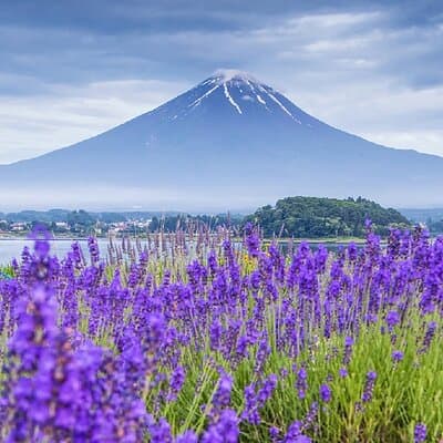 Mt Fuji Pilgrimage Full Day Tour with 7 Must See Scenic Spots 4