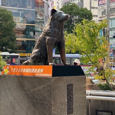 Discover Shibuya Culture and Street Life with a Local Guide 2