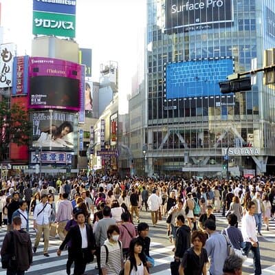 Discover Shibuya Culture and Street Life with a Local Guide 4