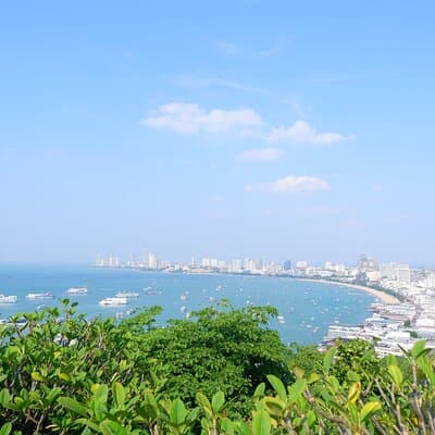 Private Pattaya City Tour with Sanctuary of Truth from Bangkok 3