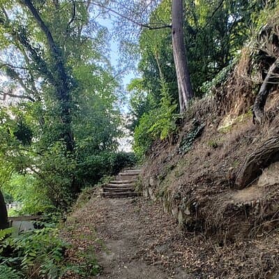 Roots the Path of the Last Table 4