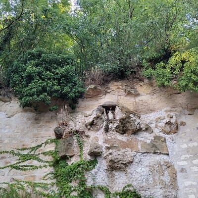 Roots the Path of the Last Table 5