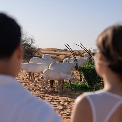 57 Night Heritage Desert Experience 3