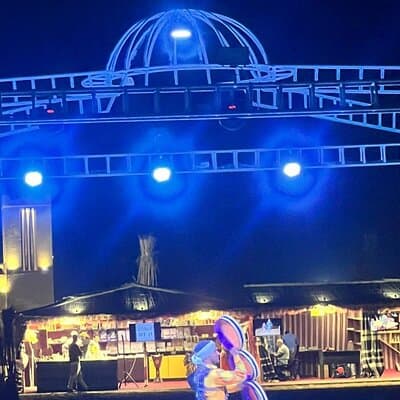VIP Desert Safari Dubai with BBQ Dinner, Live Shows, Dune Bashing 4