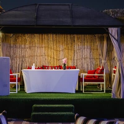 VIP Desert Safari Dubai with BBQ Dinner, Live Shows, Dune Bashing 5