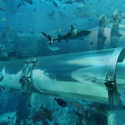 Atlantis Palm Dubai Water Adventure 4