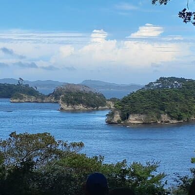 Matsushima Bay, Islands and Seafood Market day tour from Tokyo 3