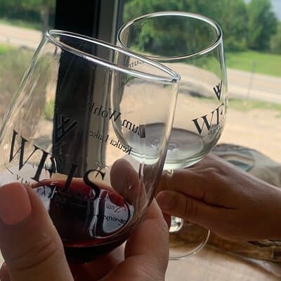 Keuka Lake Wine Tour - Customizable 4
