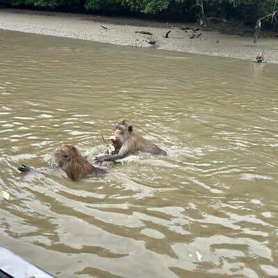 Floating & Railway Markets (Optional Mangrove Visit) Private Tour 5