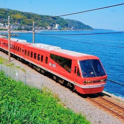 FromTokyo: Izu Scenic Oceanview Train, Volcano, Coast Day Trip