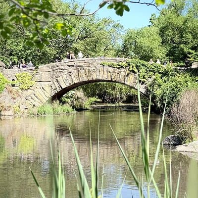 Central Park Pedicab Guided Tours with Theater 4