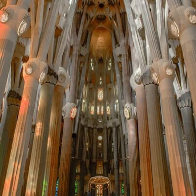 Private Sagrada Familia Guided Tour 5