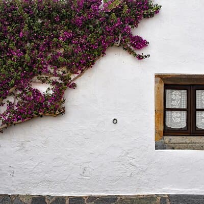 Private Tour from Lisbon to Evora and Monsaraz with Wine Tasting 5