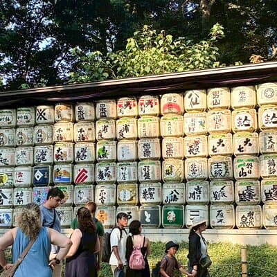 Tokyo Highlights Private Tour with Local Guide 5