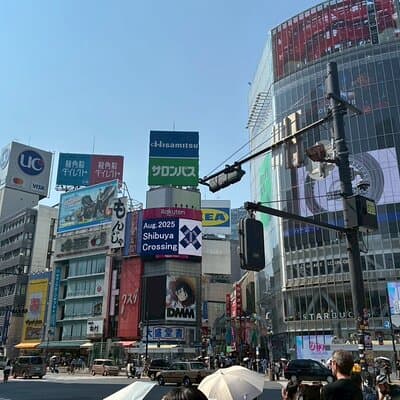 Private Tokyo, Fully Customized — Your Day, Your Pace 4