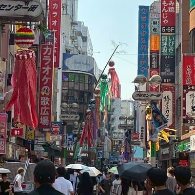 Private Tokyo, Fully Customized — Your Day, Your Pace 5