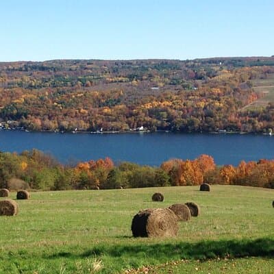 Seneca Lake Wine Tour - Customizable 5