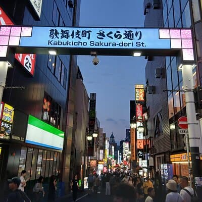 Tokyo Kabukicho Tour & Dinner Party - for Adults Only