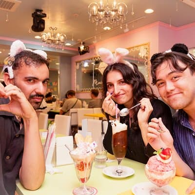 Akihabara Pop Culture Tour with Maid Café and UFO Catcher Fun 5
