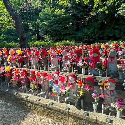 Tokyo City Walking Tour: Tokyo Tower Zojoji Temple and Shiba Park 5