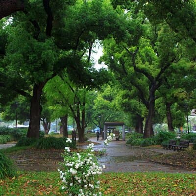 Tokyo City Walking Tour: Tokyo Tower Zojoji Temple and Shiba Park 4