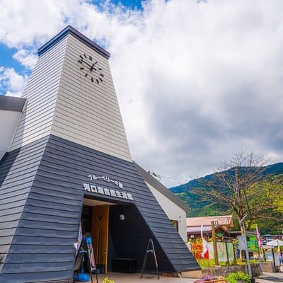 Mount Fuji Day Trip Around Lake Kawaguchiko 5