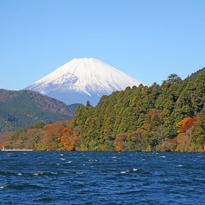 Full Day Tour of Mount Fuji and Hakone from Tokyo 5
