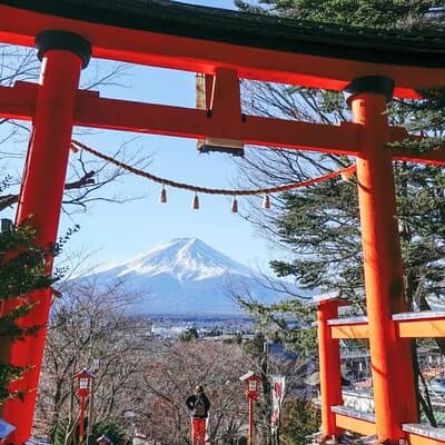 Full Day Tour of Mount Fuji and Hakone from Tokyo 2