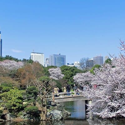 Full Day Walking Tour in Shinjuku and Shibuya 3
