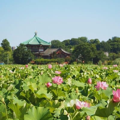 Ueno and Yanaka Culture Art Walking Tour in Old Tokyo 4