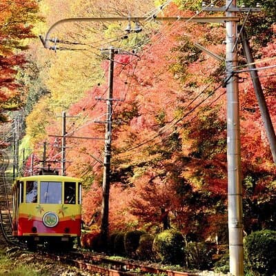 Walking Tour Mount Takao : Nature and Tradition in Tokyo 3
