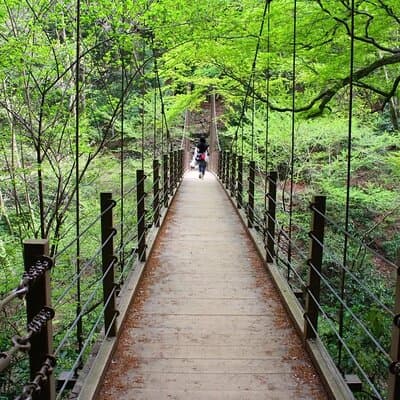 Walking Tour Mount Takao : Nature and Tradition in Tokyo 4
