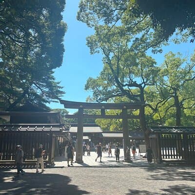Tokyo Harajuku Walking Tour Meiji Jingu Yoyogi Park and More 3