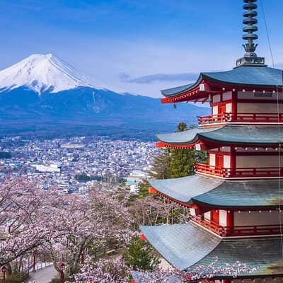 From Tokyo:Mount Fuji Lake Kawaguchi, Oshino Hakkai,Shrine Tour 5