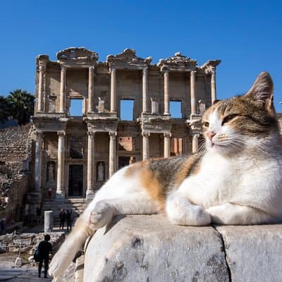 Ephesus & Virgin Mary Day Trip from Istanbul with Flights 2