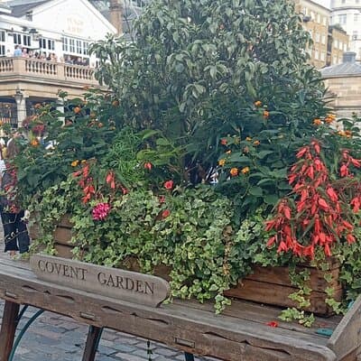 London Soho & Covent Garden Full Meal Food Tour by Do Eat Better 4