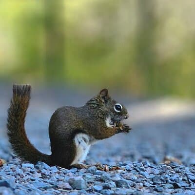 Sydney City Roots and Wildlife Trails of Cape Breton Island