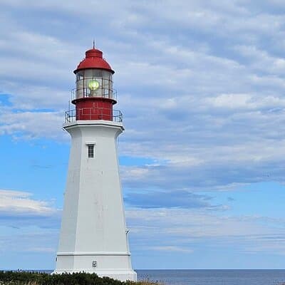 Sydney City & Coastline Tour 4