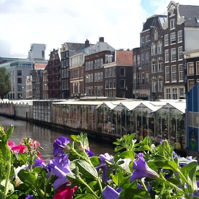 Gay Bar Tour in the Red Light District Amsterdam 5