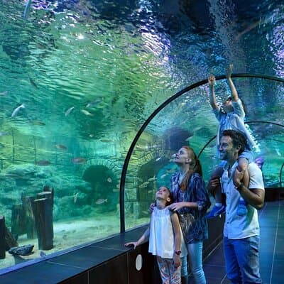 Istanbul Aquarium and Shopping Tour with Hotel Transfers 3