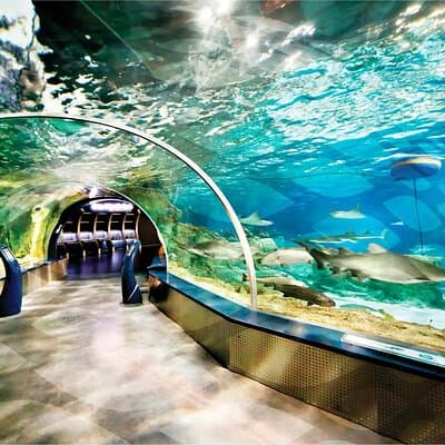 Istanbul Aquarium and Shopping Tour with Hotel Transfers 4