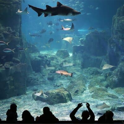 Istanbul Aquarium and Shopping Tour with Hotel Transfers