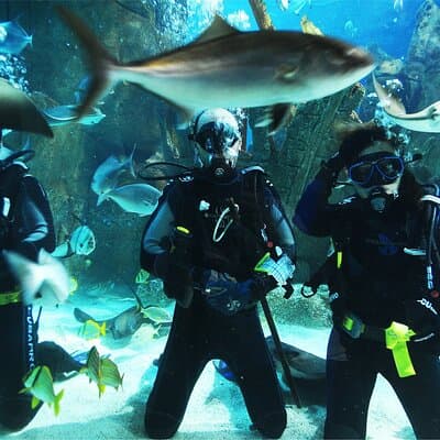 Istanbul Aquarium and Shopping Tour with Hotel Transfers 2