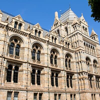 Londons Natural History Museum 5