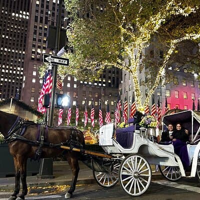 Amazing Horse and Carriage Rockefeller and Christmas lights tour