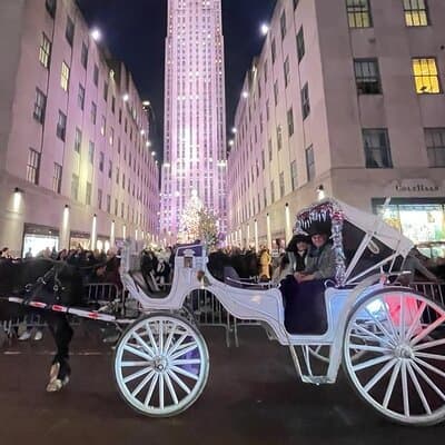 Amazing Horse and Carriage Rockefeller and Christmas lights tour 2