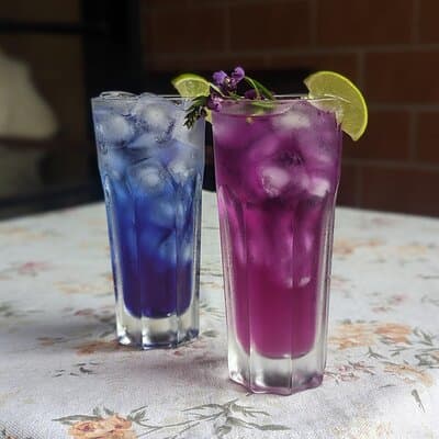 Thai Home Cooking Class with Young in Nonthaburi, Near Bangkok 5