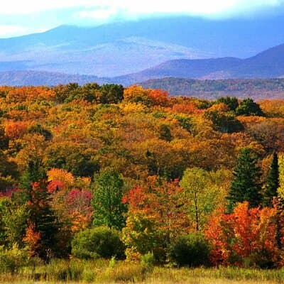 Explore the Full Cabot Trail: World Famous Trail 4
