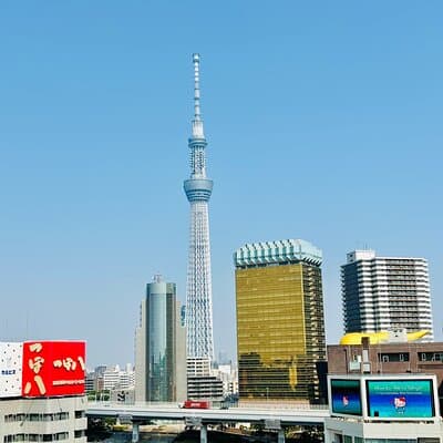 Tokyo Private Half-Day Highlights Tour by Car with Guide 2